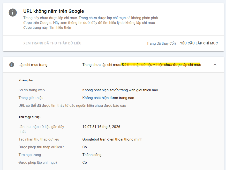 Google cập nhật khuyến nghị tối ưu SEO cho Website 2026 trong thời đại AI