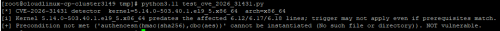Lỗ hổng CVE-2026-31431